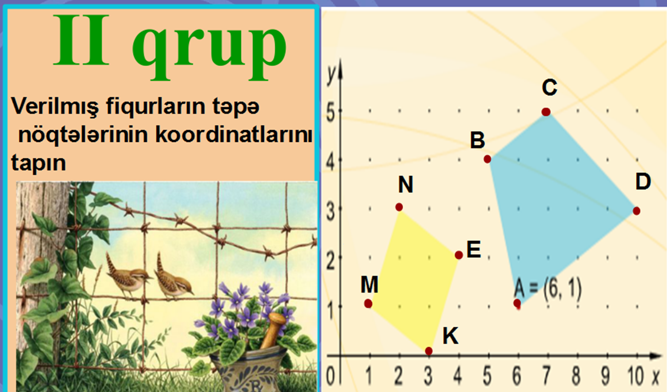 Dərsin icmalı 6-cı sinif