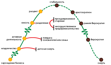 СИСТЕМА ДИНАМИЧЕСКОГО НОРМАТИВА ПРИМЕНИТЕЛЬНО К ЖИЗНЕННОМУ ЦИКЛУ КОРПОРАЦИЙ.