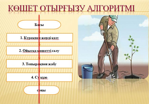 Алгоритм типтері(сызықтық, тармақталған) ашық сабақ 6 сынып