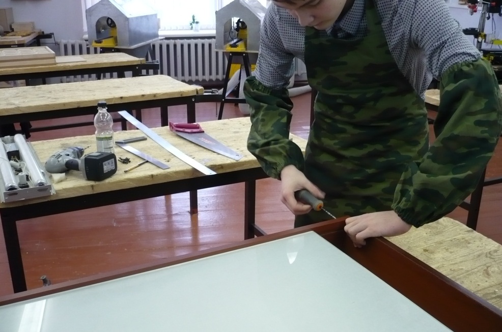 Творческий проект: Стол для рисования песком Выполнил: ученик 10А кл. Фощий Владимир.