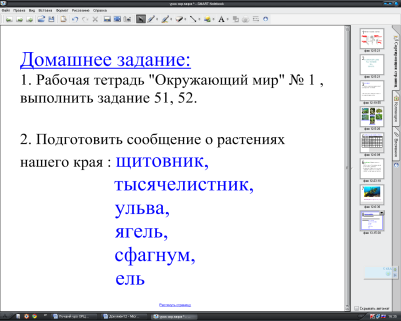 Урок окружающего мира Разнообразие растений на Земле