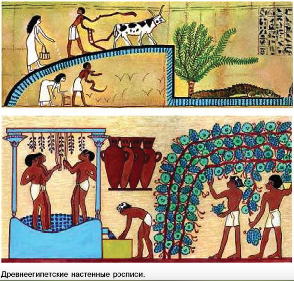 Конспект урока по истории на тему Как жили земледельцы и ремесленники в Древнем Египте (5 класс)