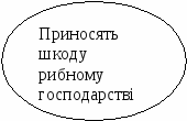 Конспект уроку з біології у 8 класі Різноманітність і значення земноводних. Охорона земноводних