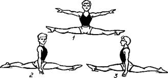 Пособие по акробатике Акробатические упражнения