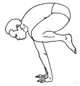 Пособие по акробатике Акробатические упражнения