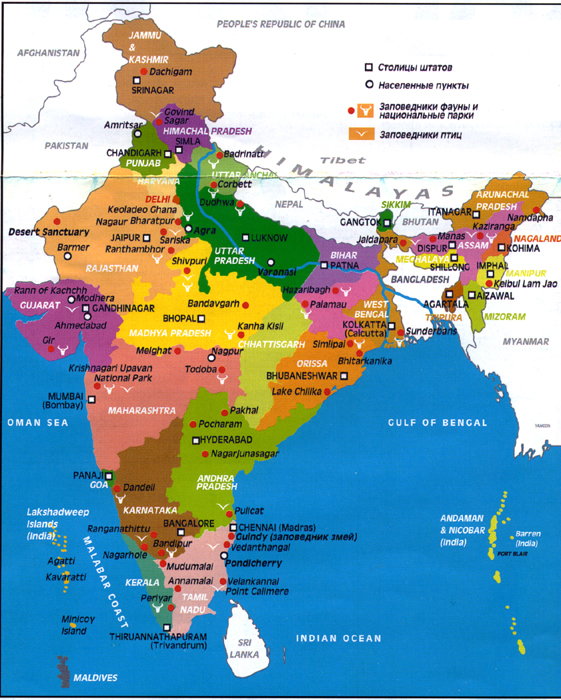 Индия в XIV-XV века