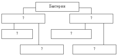 Уроки по биологии в координатах таксономии Б. Блума