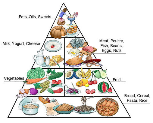 Урок английского языка: «Здоровый образ жизни: правильное питание» в 7 классе