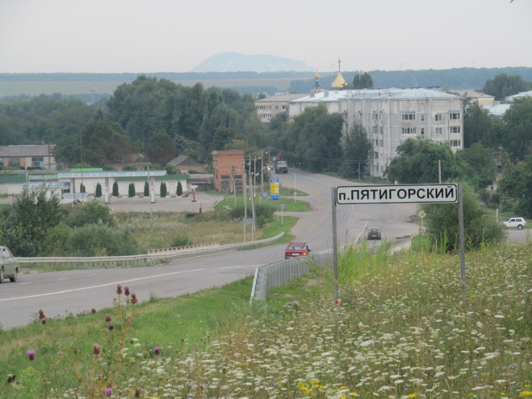 Социальный проект Чисто в поселке- светло на душе