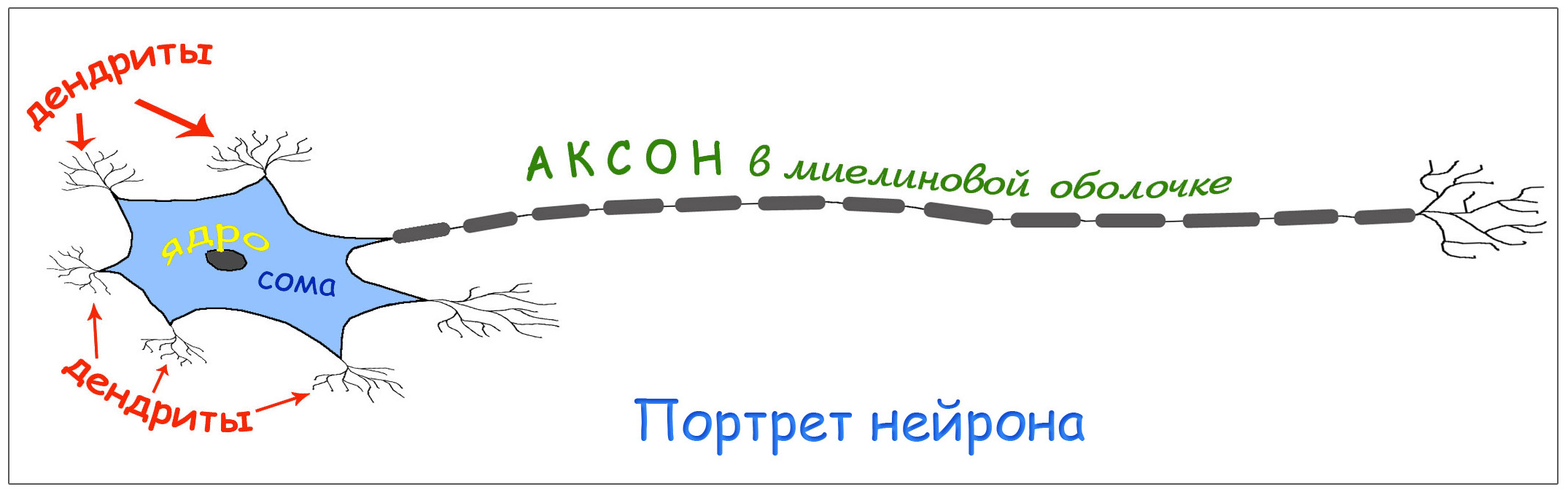 Детский исследовательский проект Самый главный компьютер