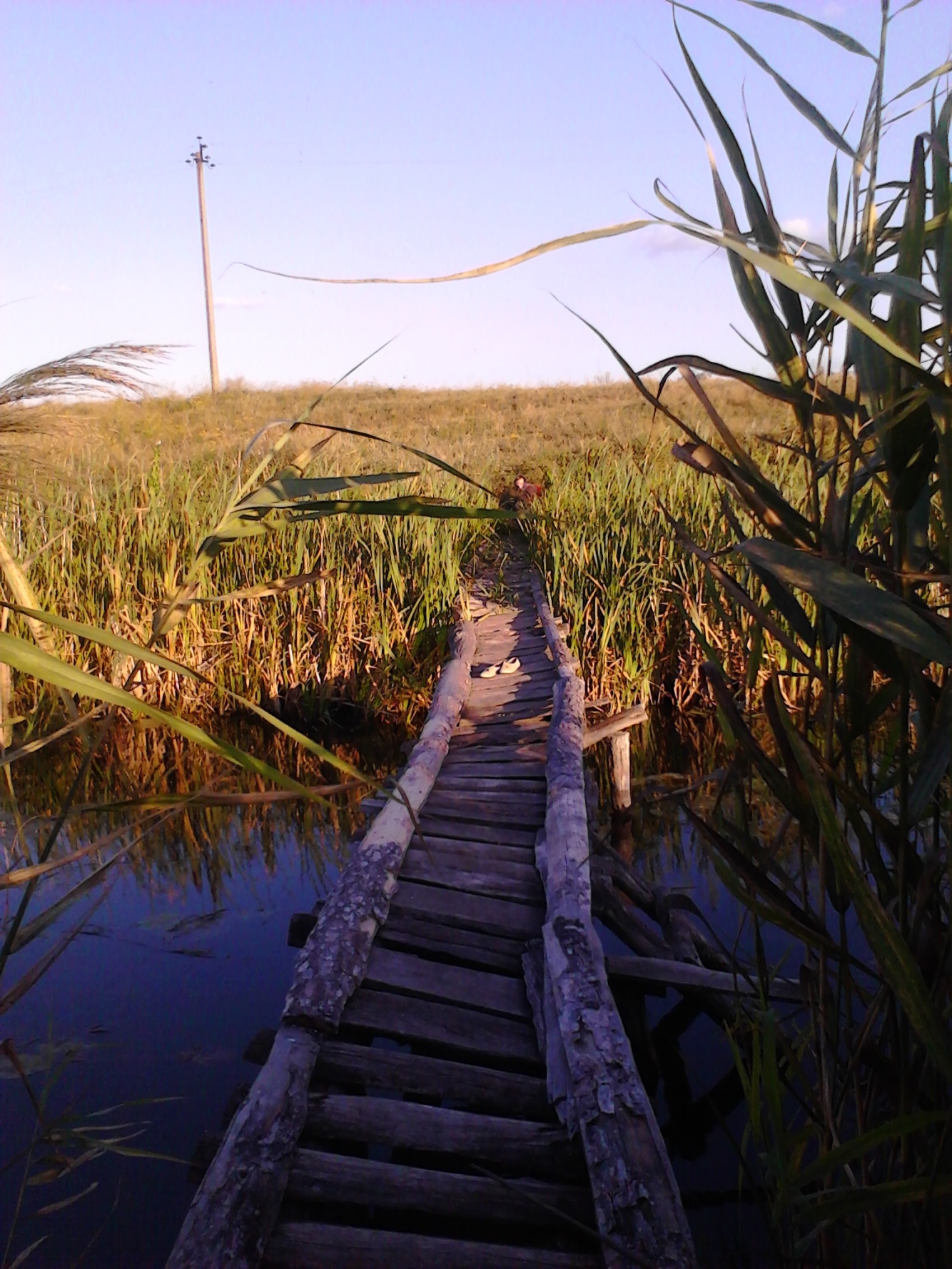 Проект на тему: Экология бассейна реки Дон