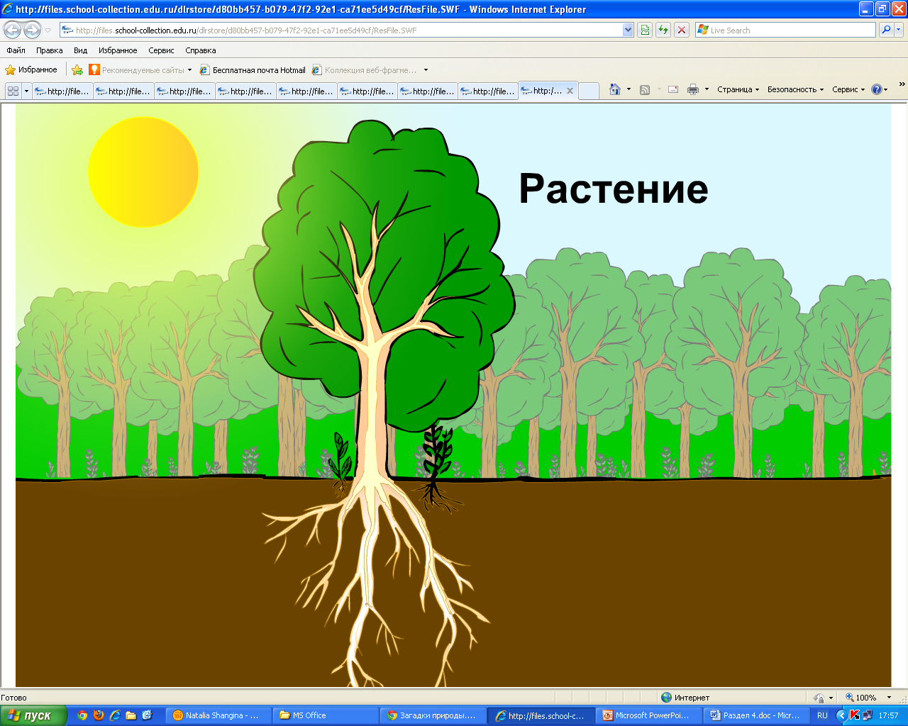 Рабочая программа по окружающему миру 1 класс Планета знаний