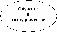 Информационно-педагогический модуль Обучение в сотрудничестве на уроках русского языка и литературы