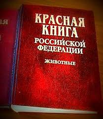 Урок по окружающему миру для 3 класса (НРК) «Лекарственные растения Челябинской области»