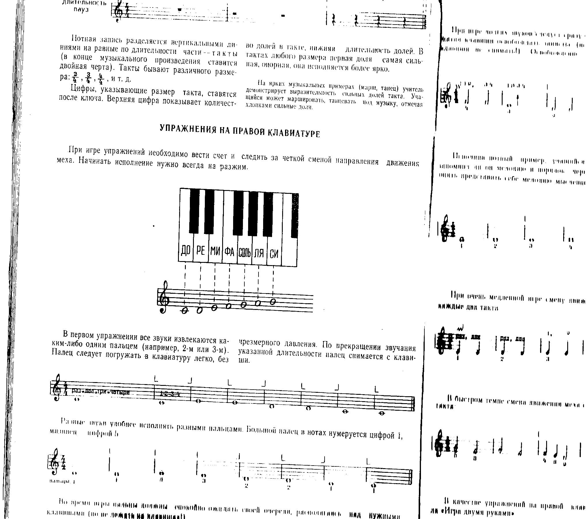 Формирование основных приёмов при движении по клавиатурам(Руки аккордеониста во время игры)
