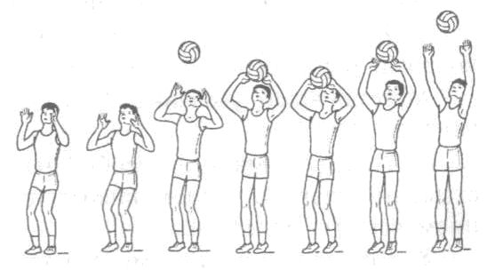 Рабочая программа по волейболу для элективного курса.