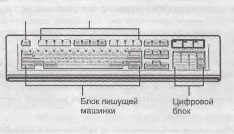 Раздаточные конспекты по всем темам, предмета