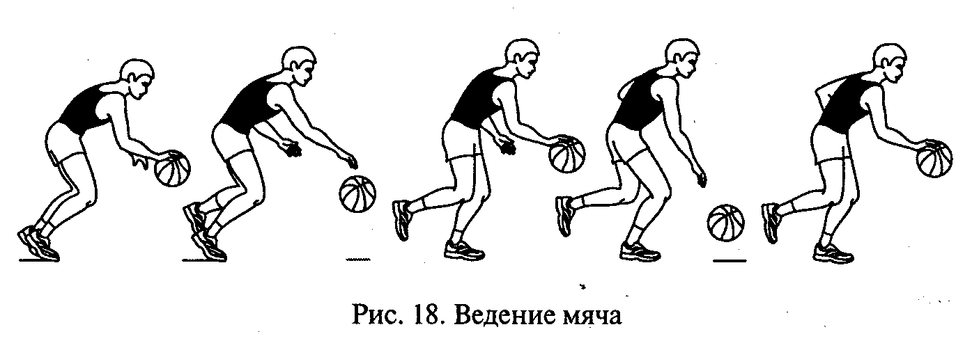 План занятия по дисциплине «Физическая культура» Баскетбол