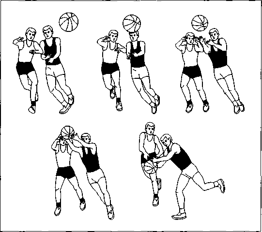 План занятия по дисциплине «Физическая культура» Баскетбол