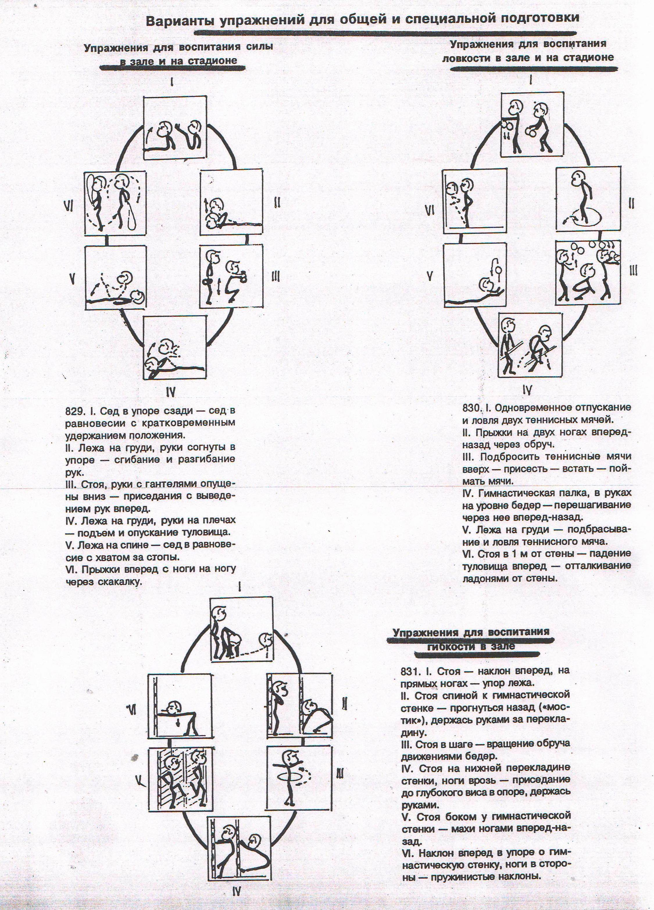 АВТОРСКАЯ ОБРАЗОВАТЕЛЬНАЯ ПРОГРАММА дополнительного образования детей «ШКОЛА ЧЕМПИОНОВ»