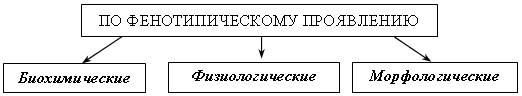 Урок биологии на тему : Закономерности изменчивости: Мутационная изменчивость