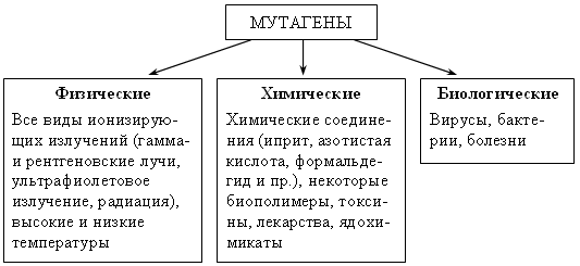 Урок биологии на тему : Закономерности изменчивости: Мутационная изменчивость