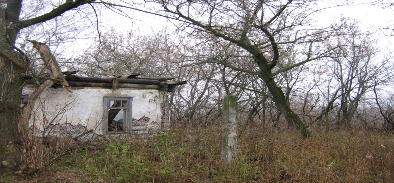 Исследовательская работа Воссоздание эскиза родового дворянского дома Бехтеевых в с.Липовка Задонского района