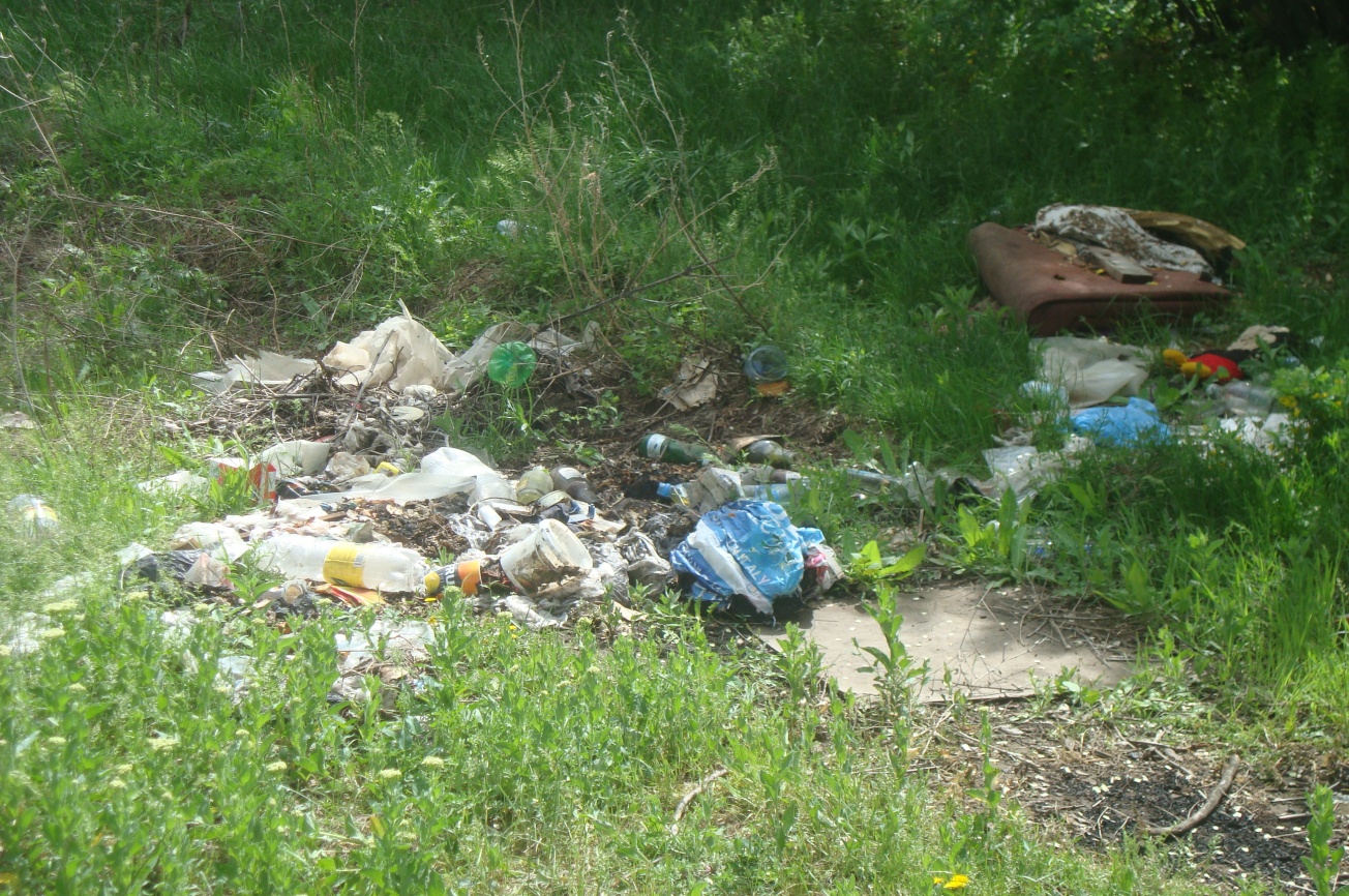 Исследовательская работа ученика.«Бытовой мусор-проблема города»