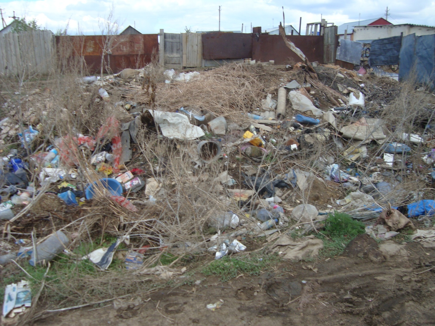 Исследовательская работа ученика.«Бытовой мусор-проблема города»