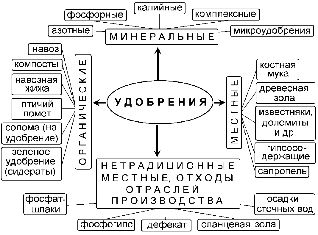 УДОБРЕНИЯ, КАК ХИМИЧЕСКИЕ КОМПАНЕНТЫ В РАСТЕНИВОДЧЕСКОЙ ПИЩЕВОЙ ПРОДУКЦИИ