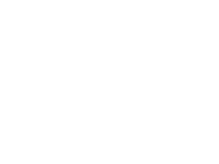 Литературно – музыкальная композиция В день девятый мая, в сорок пятом…