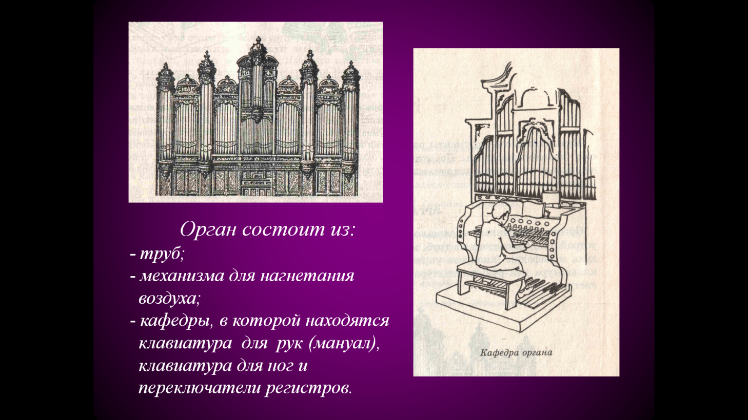 Строение музыкального органа