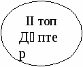 Урок по казахскому языку Жыл мезгілдері (5 класс)