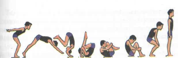 Тема урока: Акробатические упражнения. Длинный кувырок вперед, стойка на голове и руках.
