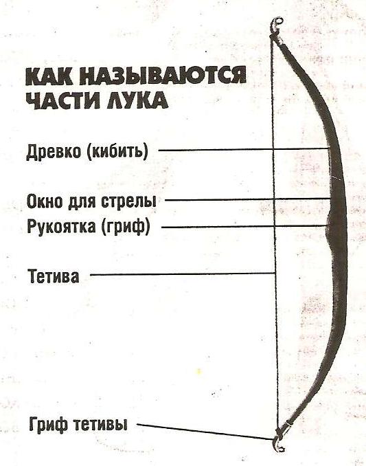 Задания по истории древнего мира (5 класс)