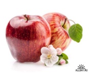 Брошюра, посвящённая Международному Дню яблок