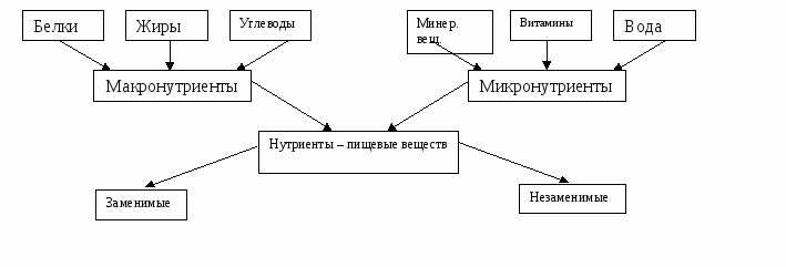 Практическая работа № 4