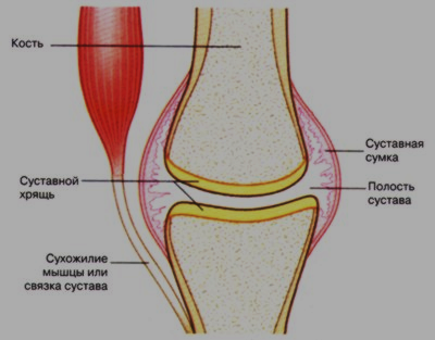 Как выглядит суставная сумка