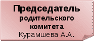 Воспитательная система класса Мы-нижегородцы, мы -россияне