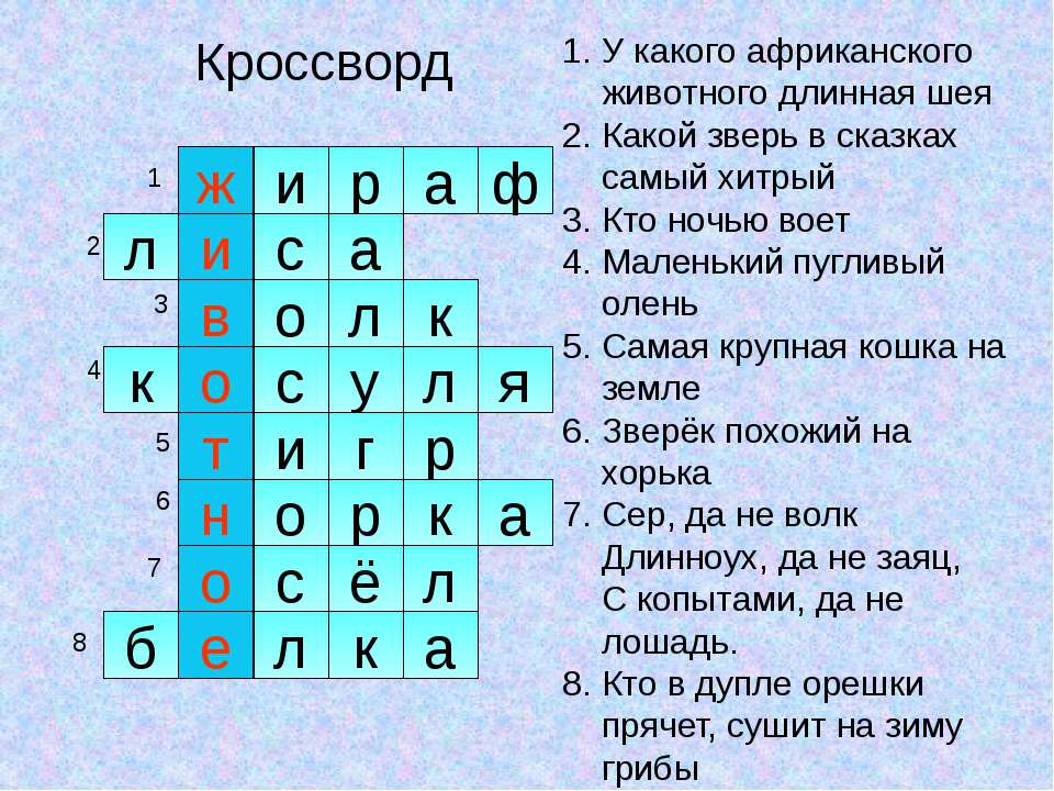 Открытое мероприятие на тему : 12 февраля -206 лет со дня рождения Ч.Дарвина