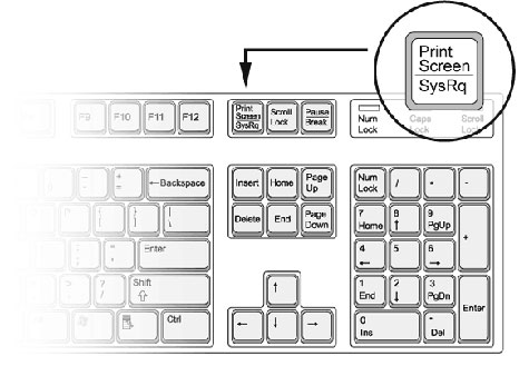 Создание презентаций в PowerPoint. Скриншоты