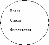 Дополнительный курс по математике