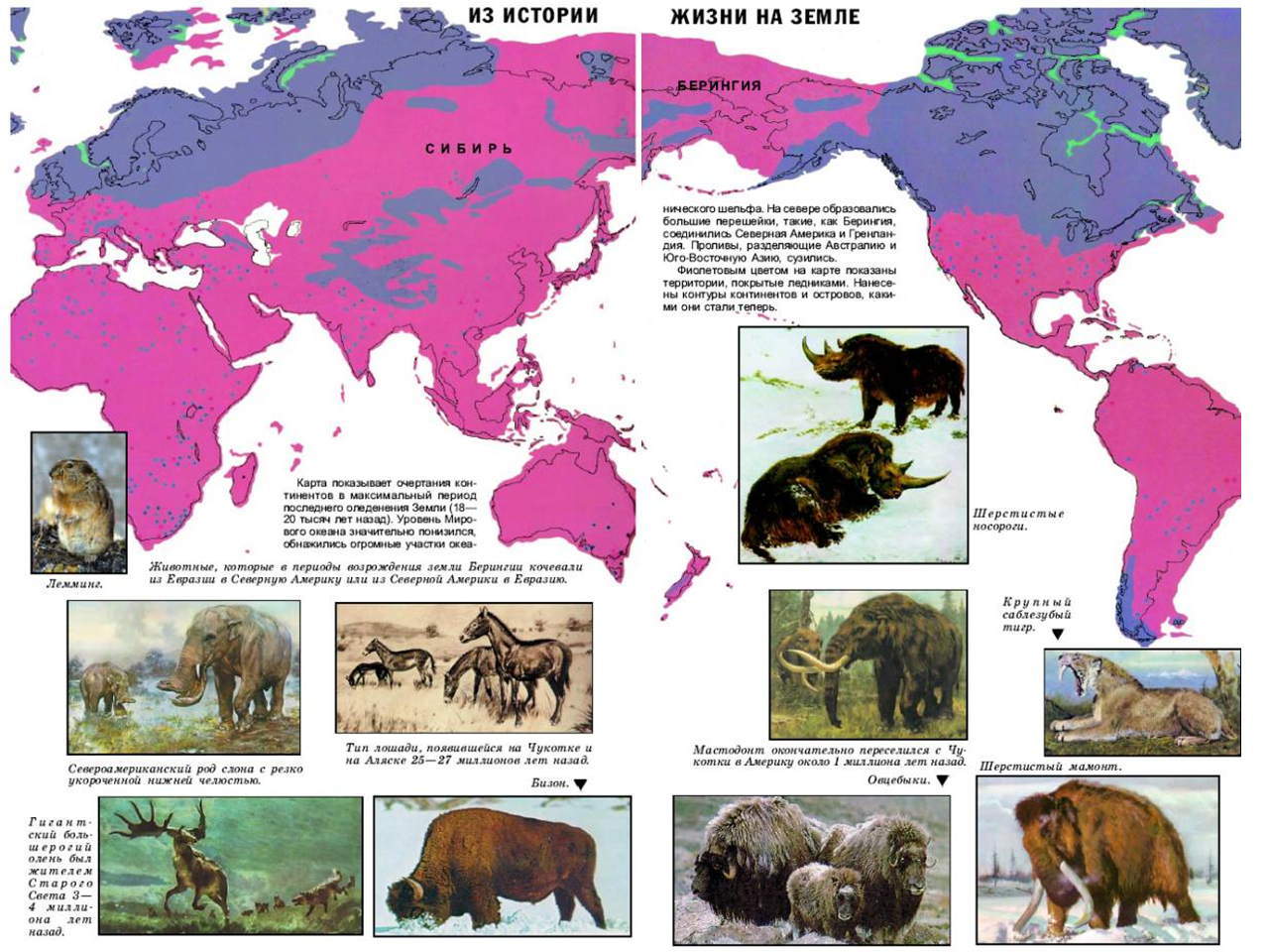 Древнейшие северной евразии. Карта населения животных. Животные Северной Евразии. Северная Америка Берингия. Северная Евразия на карте.