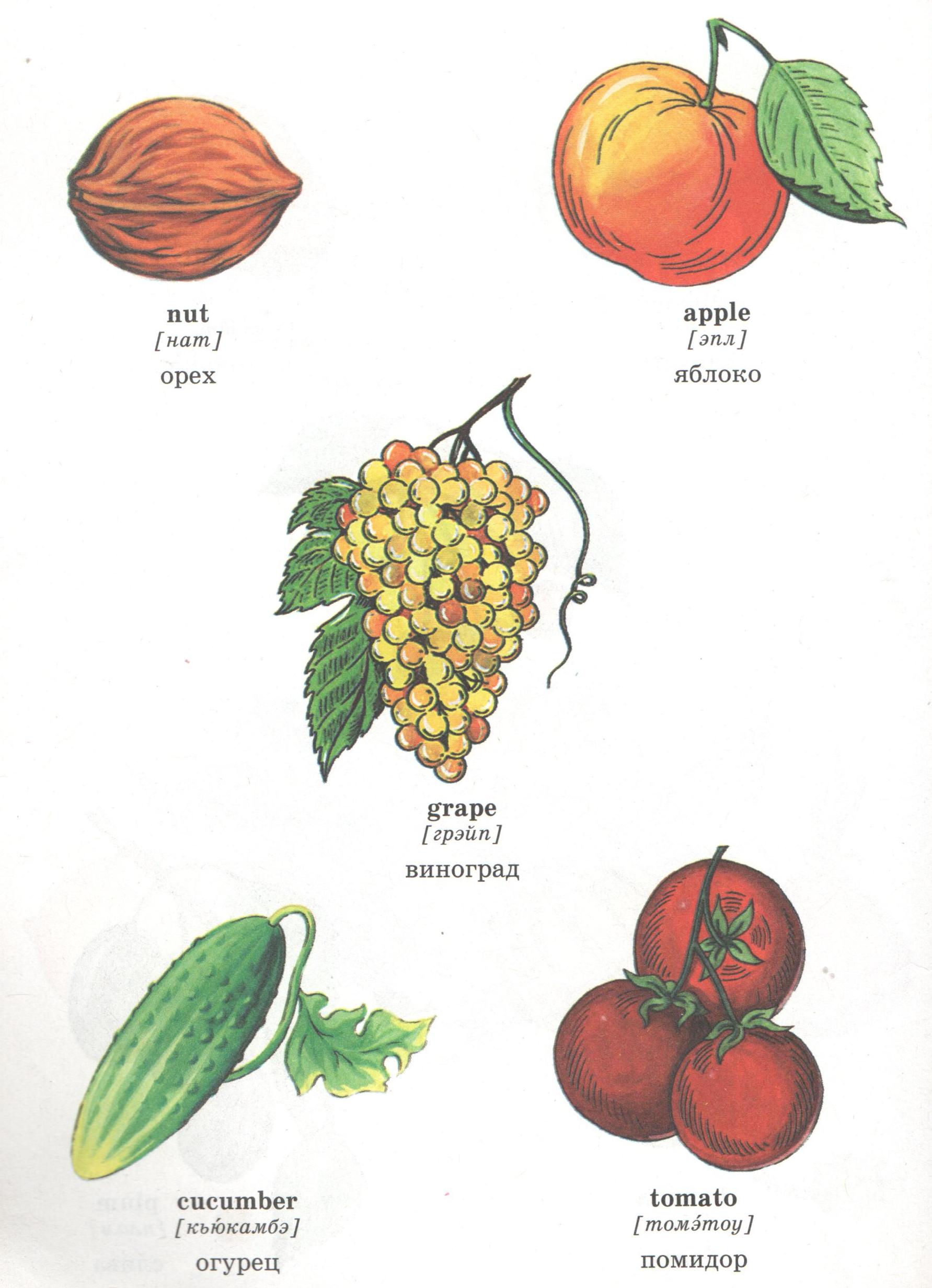 Ағылшын тілінен технологиялық карта тақырыбы «Fruits – Жемістер»