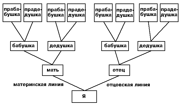 Рабочая тетрадь по истории для специальной (коррекционной) школы 8 вида 7 класс. Раздел №1