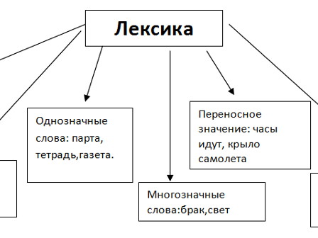 Урок русского языка в 7 классе по теме «Лексика. Фразеология»