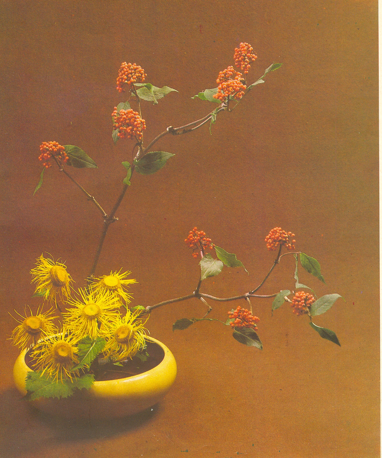 Материалы к семинару Современные интерпретации японского искусства аранжировки цветов