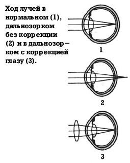 Конспект урока О глазах и зрении