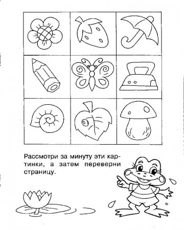 «Развитие памяти младших школьников на уроках русского языка и литературного чтения»