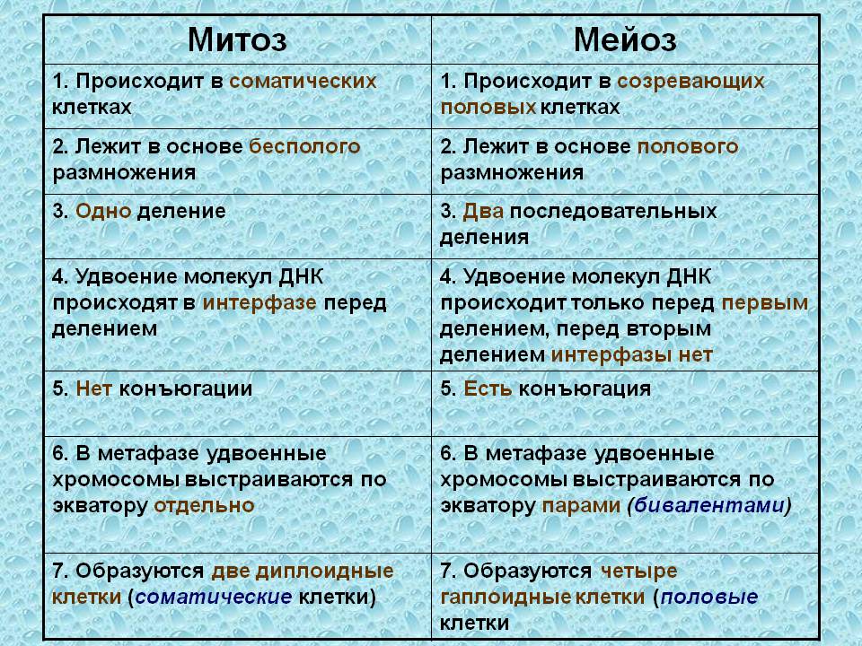 Методические указания для студентов по теме Индивидуальное развите организма.